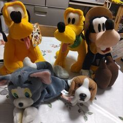 新品５体まとめて