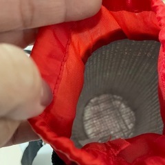 カーズ水筒ケースの画像