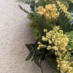  ミモザ プリザーブドフラワー花 リース 壁掛け 壁飾りドライフラワーの画像