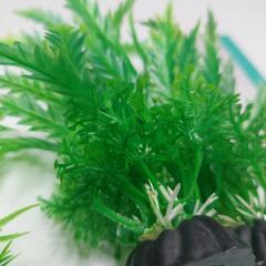 人口水草セット　プラスチック製の画像