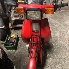 赤カブの画像