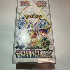 テラスタルフェスex