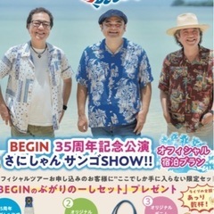 BIGINライブチケット２枚