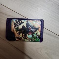 フレンダ　ザルード　交換希望