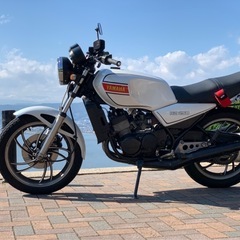 YAMAHA  RZ250