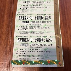 野沢温泉日帰り温泉施設 スパリーナ利用券大人3枚