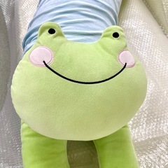 【店頭引き取り限定】アニマル ボディピロー カエルの画像