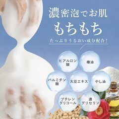 ウィル クレンズ ボディケアソープ 殺菌・消毒【 足も体もこれ一本 】の画像