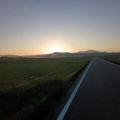 ハイ-エイジ新潟