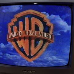 14インチ テレビデオ 動作確認済 シャープ VT-14G2の画像