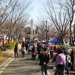 '25.2/22(土)～3/9(日) 大宮第二公園「梅まつり」