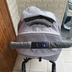 Pigeonランフィの画像