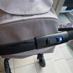 Pigeonランフィの画像