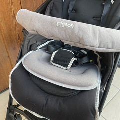 Pigeonランフィの画像