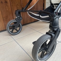 Pigeonランフィの画像