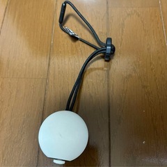 モンスターボール　Plus
の画像
