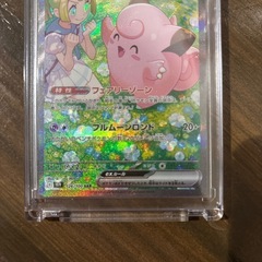 リーリエのピッピsar
の画像