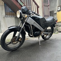 ウルフ50cc❗️日曜日限定タイムセール10万