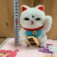ぬいぐるみ　招き猫