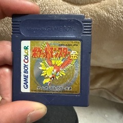 ポケットモンスター金