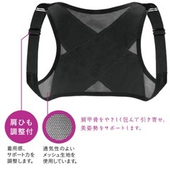 La-VIE (ラヴィ) 背筋矯正ベルト こっそり美姿勢宣言します M-L レディース 身長160~170cmの画像