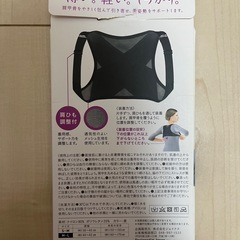 La-VIE (ラヴィ) 背筋矯正ベルト こっそり美姿勢宣言します M-L レディース 身長160~170cmの画像