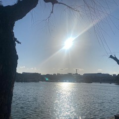 あさんぽ☀️ 🌱