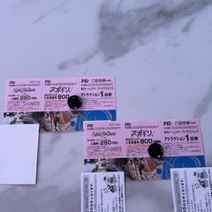 東京ドームシティアトラクションズ　ご招待券 2/28迄　ペアチケ...