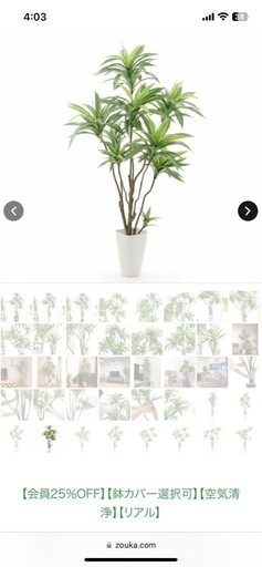フェイクグリーン観葉植物　ドラセナ