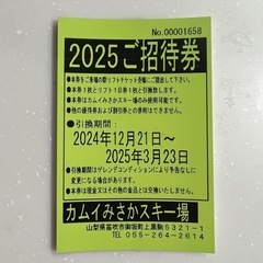 山梨  カムイみさかスキー場 1日リフト券　　2月中のみ