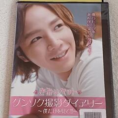 ＤＶＤ『きみはペット　グンソク撮影ダイアリー　～僕だけを観て!!～』