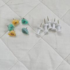画鋲 10個