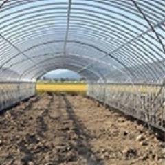 ビニールハウス解体　無料　0円