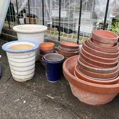 早い者勝ち‼️植木鉢　盆栽鉢　鉢　ガーデニング　植物の画像