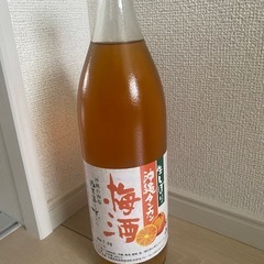 生しぼり　沖縄タンカン　梅酒