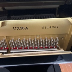 来週いっぱいまでの出品となりますの画像