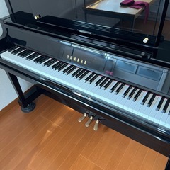 来週いっぱいまでの出品となりますの画像