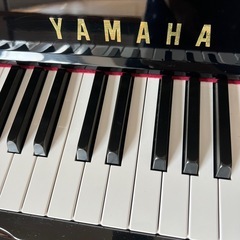 来週いっぱいまでの出品となりますの画像