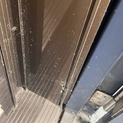 終了！玄関網戸🚪差し上げますの画像
