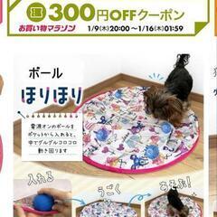 犬ホリホリの画像