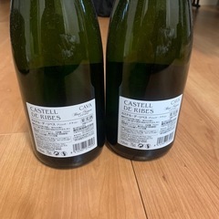 スパークリングワインカステル デ リベス ブリュット ナチュレ　　　の画像