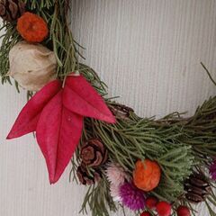 リース　ドライフラワーの画像