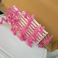 39ビンチハンガー 1個欠品38ピンチ　折りたたみ式　伸縮式の画像