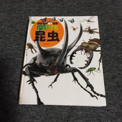 商談済みです　昆虫図鑑