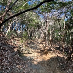 登山仲間募集しています。