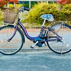 0020 パナソニック電動アシスト自転車