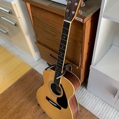 アコギ　アコースティックギターの画像