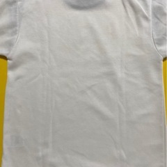 No.13311 鳥取湖山西小学校　体操服　140サイズの画像