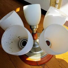 天井照明器具