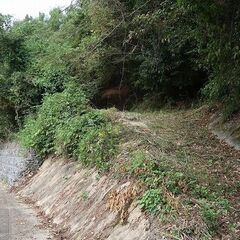 6.2町ある絶景のダム湖を楽しめる「道の駅のつはる」近くの農地・山林 ： 大分市大字下原-F-0223 − 大分県